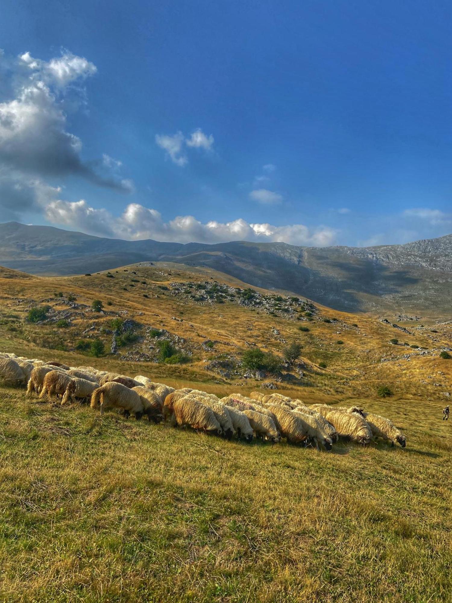 Apartmán Konak Umoljani Exteriér fotografie